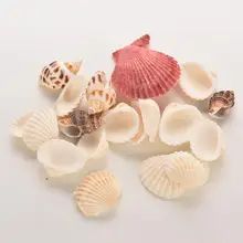 1 * funda de bolsa para el hogar DIY decoración de playa conchas de mar mezcladas conchas de mar(China)