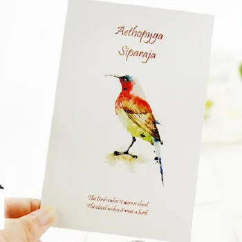 

30pcs introduce a bird to you style card multi-use Scrapbooking party invitation DIY Decoration gift card message card postcard