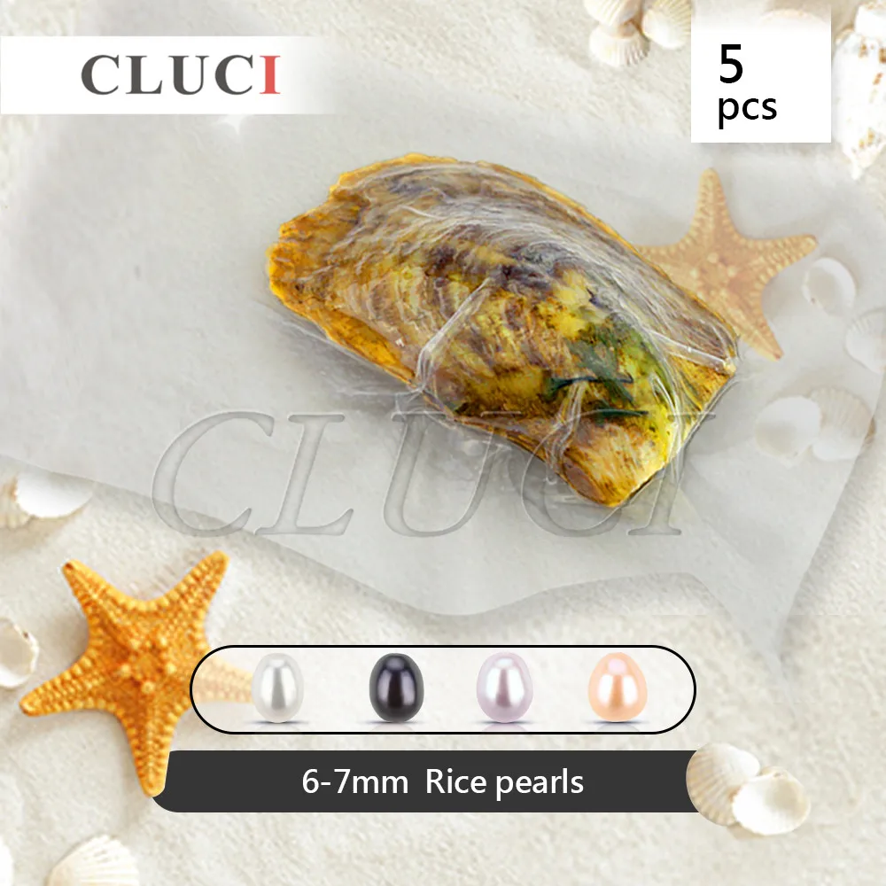 CLUCI 4 шт 6-7 мм настоящая овальная пресноводная жемчужная Бусина в устрице для женщин Изготовление ювелирных изделий вакуумные Упакованные жемчужницы