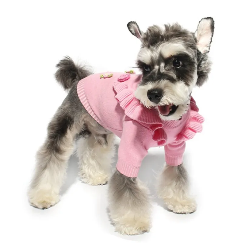 dog clothes girl (2)