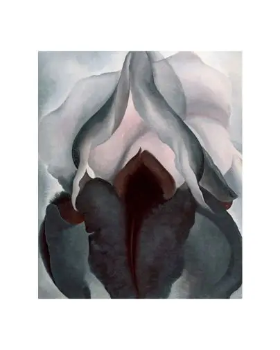XJDP (57)