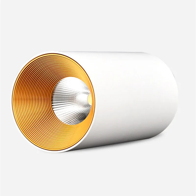 led ceiling downlight  (20)_