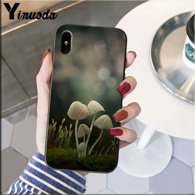 Cute plant mushroom