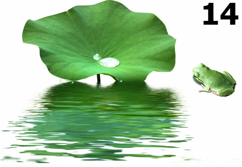 Lotus leaf Slimming tea Beauty Healthcare tea Inva...