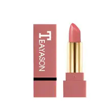 Матовая губная помада водонепроницаемый пигмент коричневый телесный стойкий водонепроницаемый плавное увлажнение губная помада матовый макияж для женщин