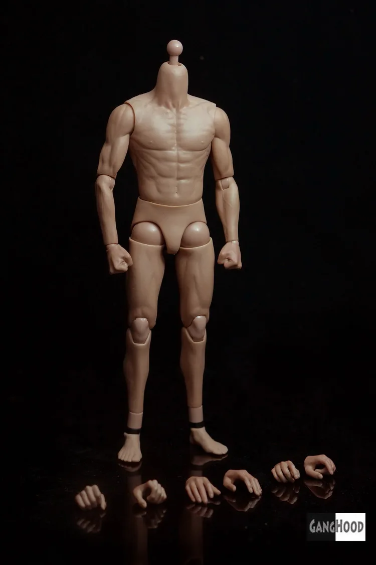 1/6 шкала азиатского мужского тела фигура для мышечной модели, похожей на HT DX04 с дополнительными руками