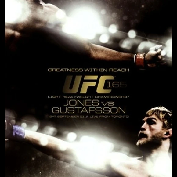 UFC - Jones vs. Gustafsson Laminated & Framed Poster (24 x 36)