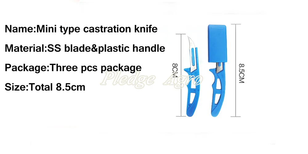 castration knife