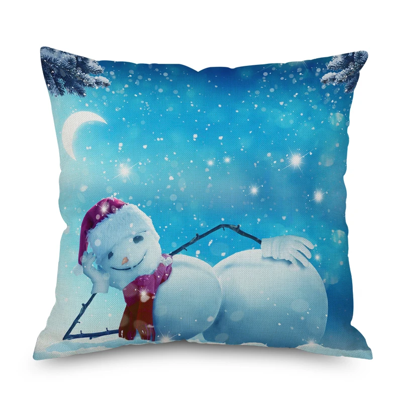 Pillow case-3