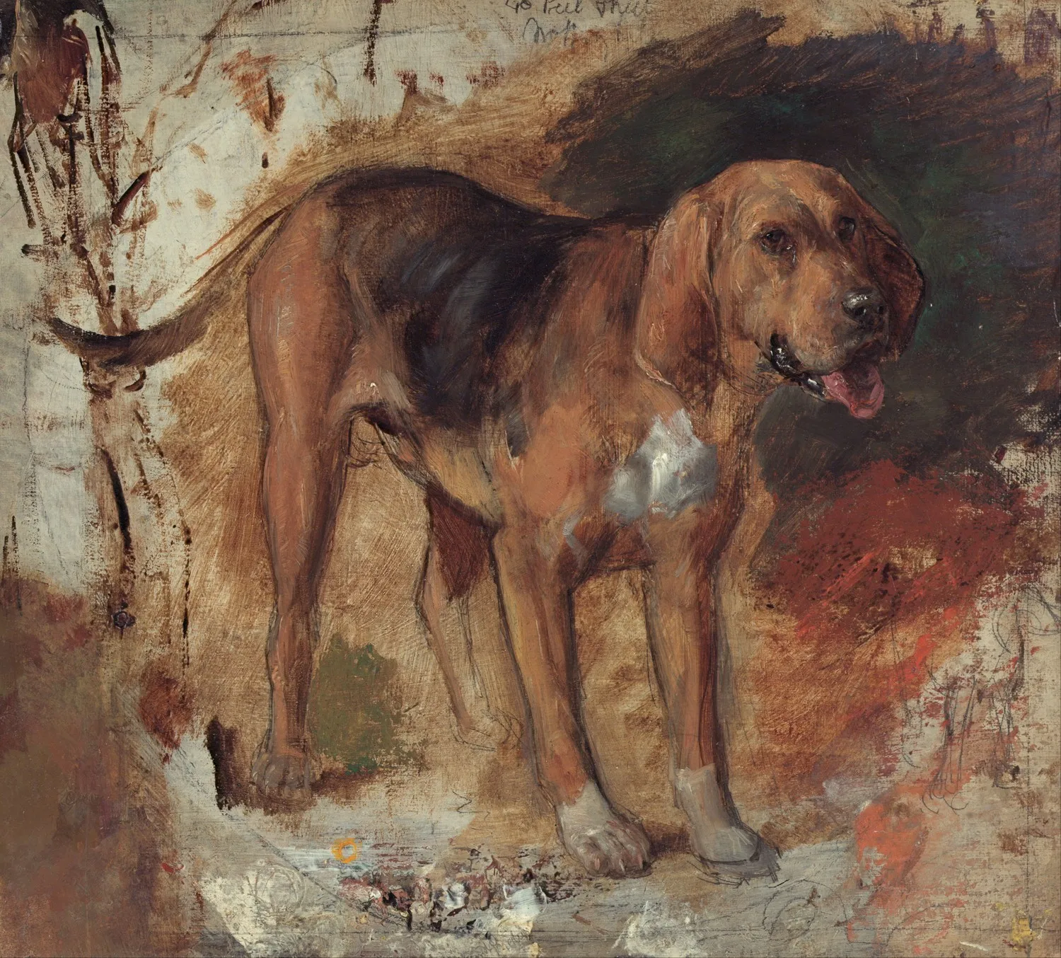 Hunt study