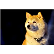 Shop Anime Shiba Inu Great Deals On Anime Shiba Inu On