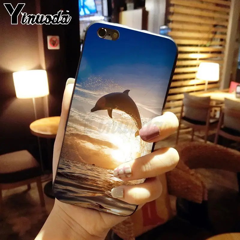 Dance Of Dolphin