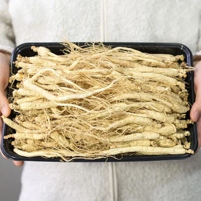 Купить Семена Женьшеня Для Посадки