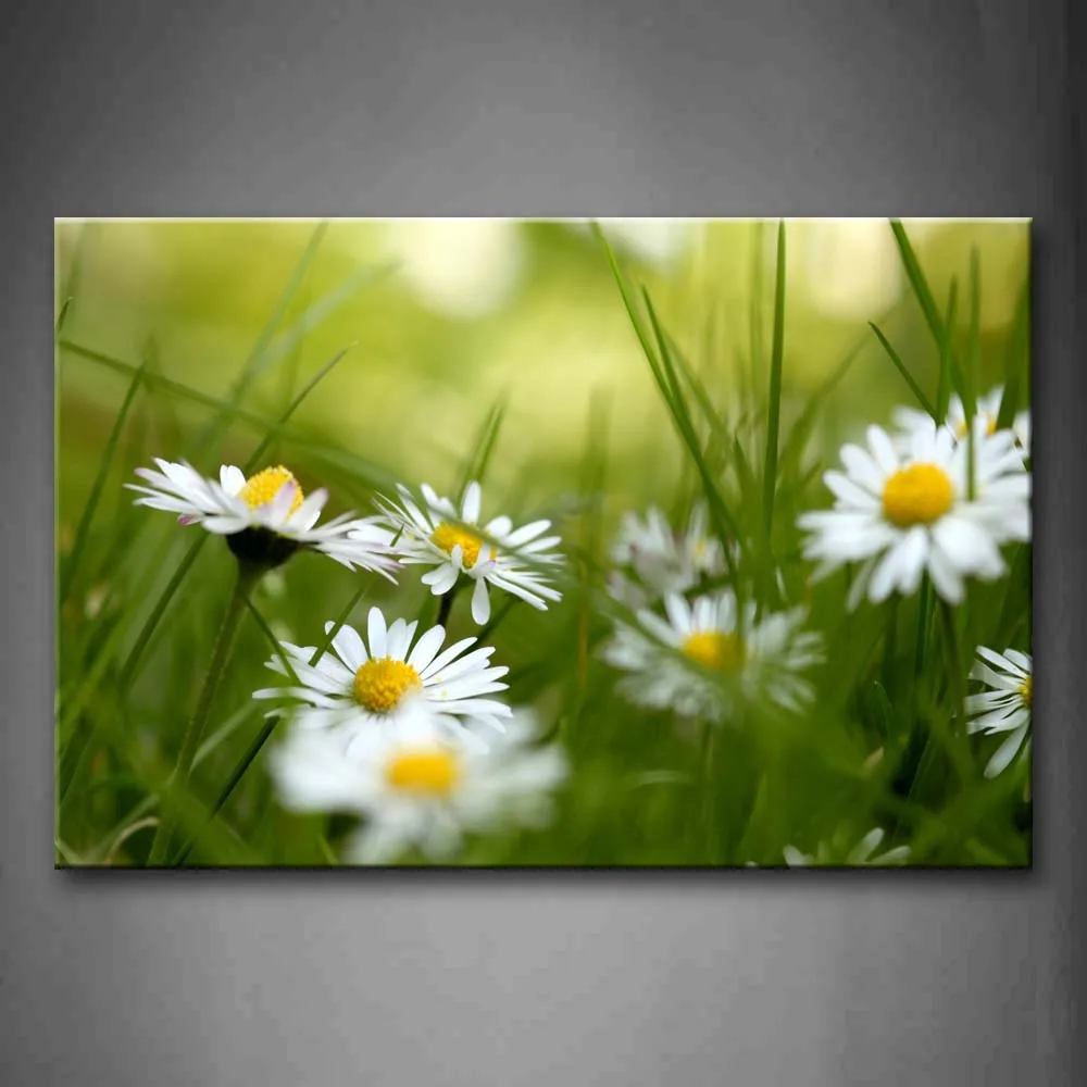 

Framed Wall Art Pictures White Daisies Canvas Print Flower Modern Posters With Wooden Frames For Home Living Room Decor