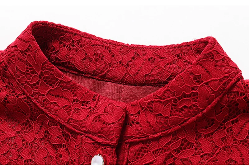 ShejoinSheenjoy Autumn Stand Hollow Lace Long Sleeve Dress Women Winter Red Buttons A-Line Party Dresses Black Women Long Dress (23)