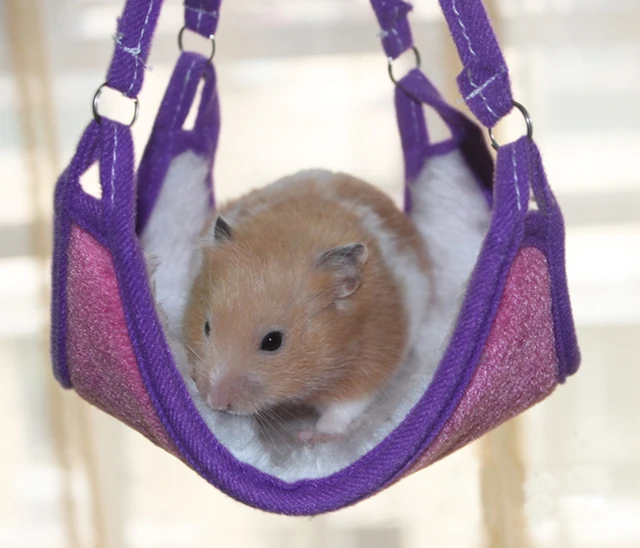 PETS Hamster warm fleece BED & BLANKET OR CARRIER & PLAYING purple pink