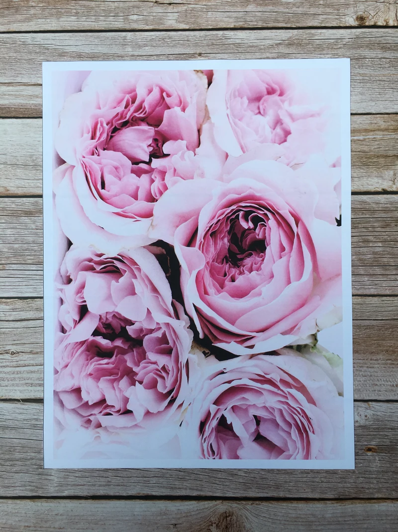 微信图片_20190402164553