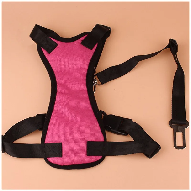 seat belts (1)