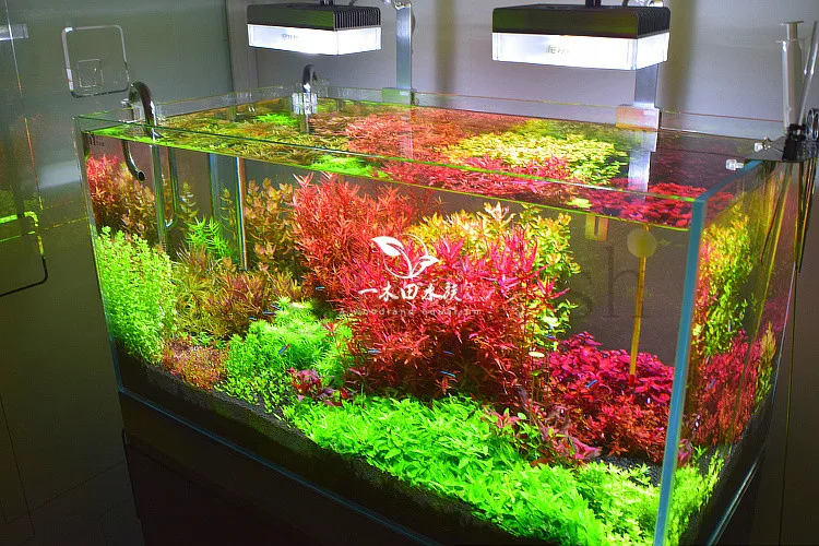 Аквариумный светильник s растения растут светодиодный светильник aqurium лампы, золотая рыбка, светильник для аквариума