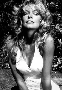 

16 Farrah Fawcett - American Artist Star Model 14"x20" Poster