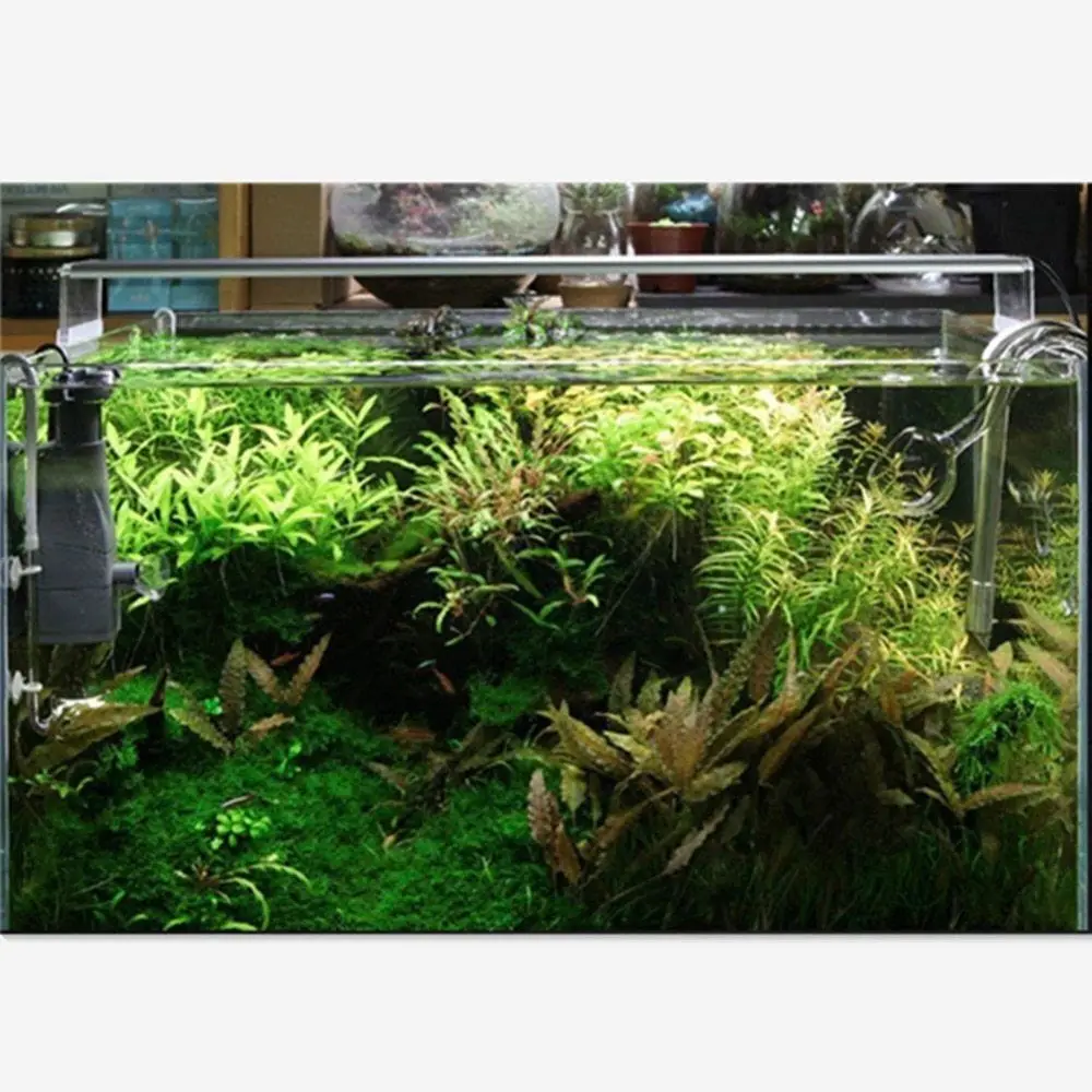 Chihiros стиль ada Светодиодная лампа для роста растений серия мини нано короткое водяное растение для аквариума аквариум 8000k