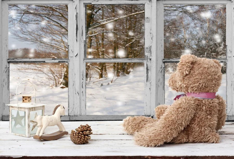 

Laeacco Toy Bear French Window Snow Baby Children Portrait Scene Photography Backgrounds Photographic Backdrops For Photo Studio