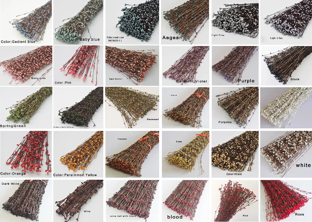 color list special