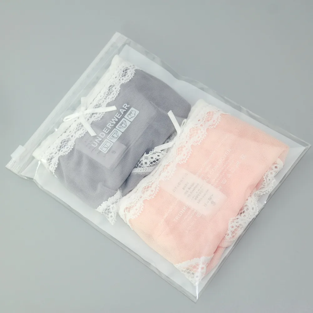 

Sexy Brand Quality Panty For Women Gift Pack Transparent Underwear Double Lace Mesh Hipster Girls Female Tanga bragas 2PCS/LOT