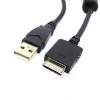 13874351651