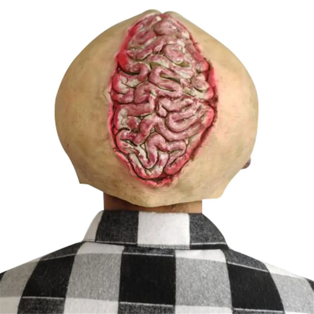 10962929205_262752394