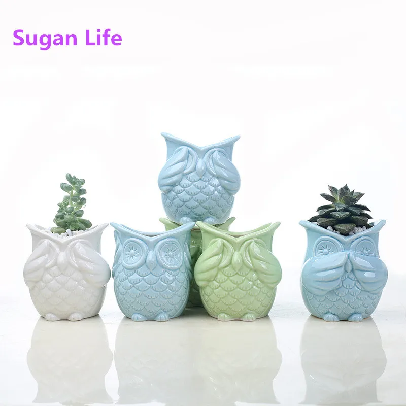 2019 Новый керамический цветочный горшок Sugan life в форме совы фарфоровый для