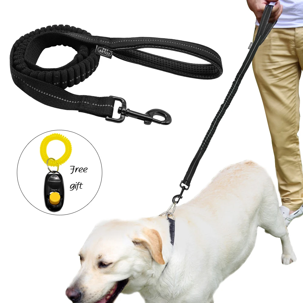long bungee dog leash
