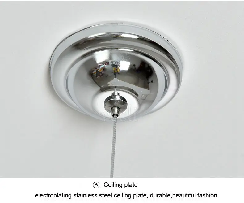 pendant lamp (20)