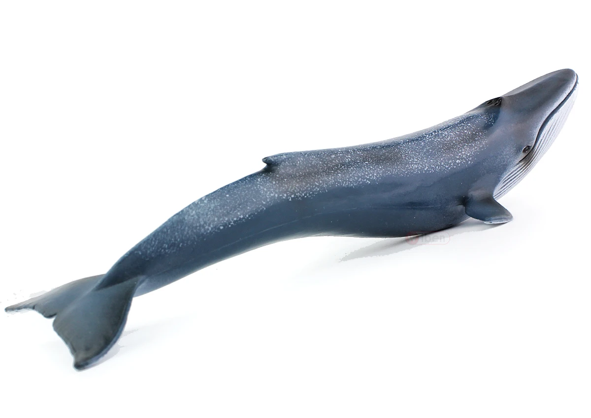 Blue Whale Model Simulation Marine Model Plastic Solid Children Toys
