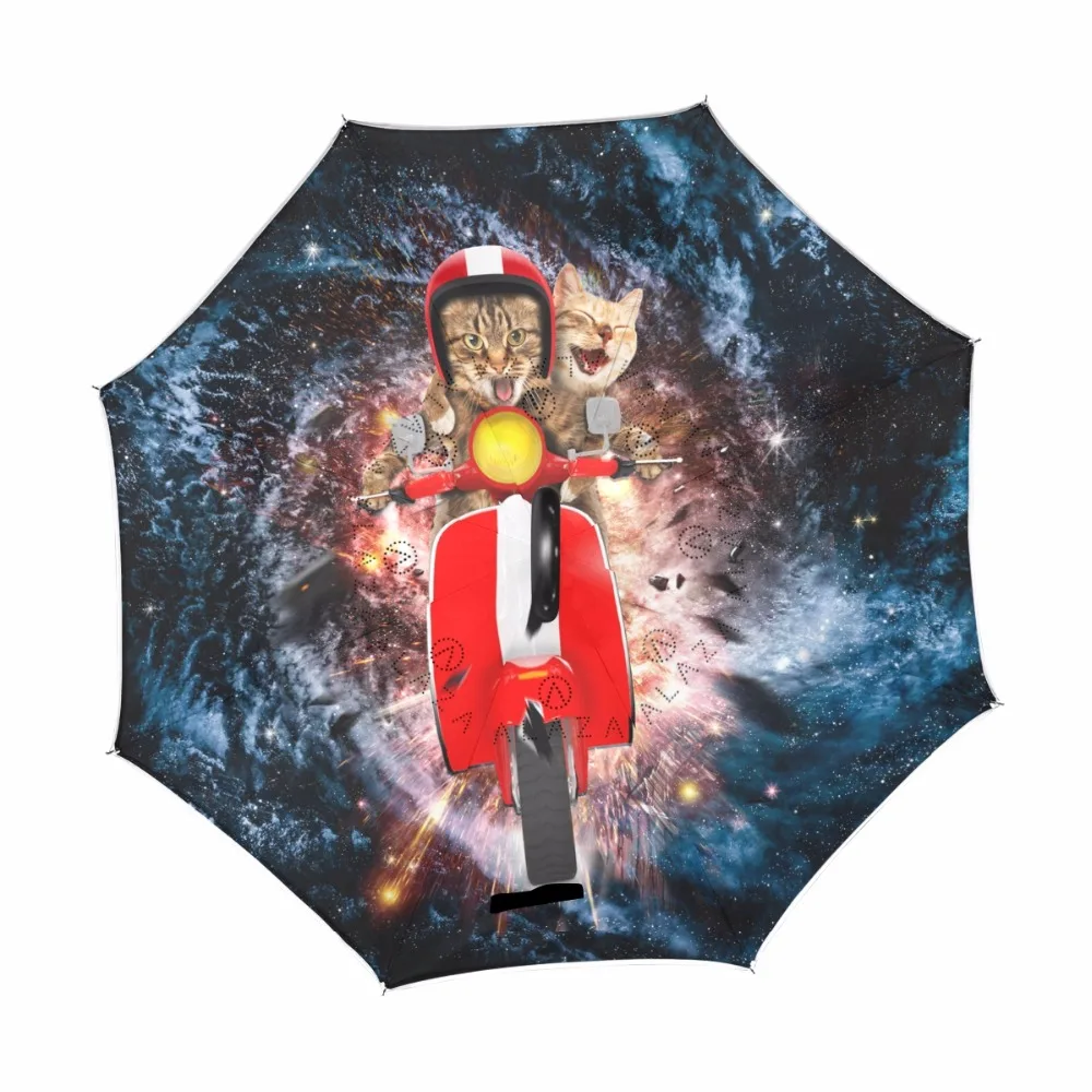 g2039208p183c217s313_1