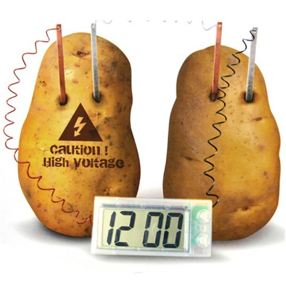 Potato Clock Science Project Experiment Kit Kids Diy Home School Lab