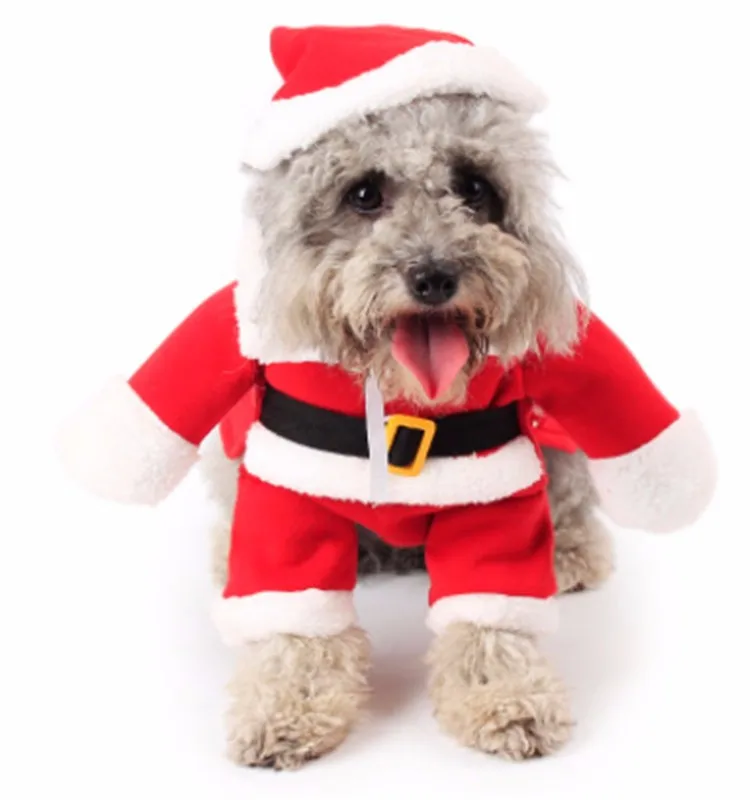 pet clothes 11