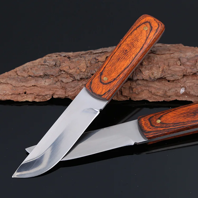 Very Sharp 5Cr13Mov Fixed Blade Knife Small Straight Knife Wood Handle