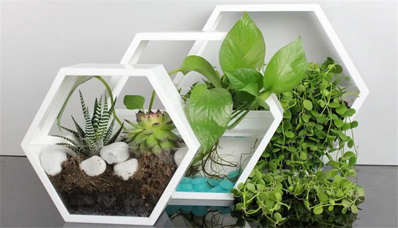 hexagon wall hanging glass vase,wall glass fish tank,wall decor,home decorhouse ornamentgreen gifts for her (8)