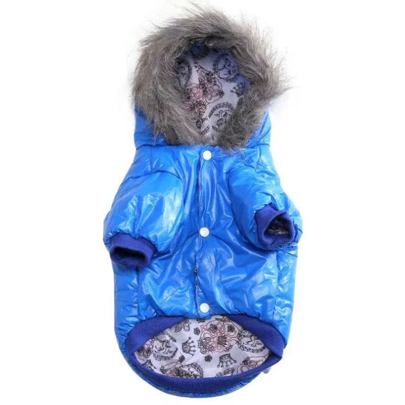 Зимнее пальто для собак, куртка для пуделя, Бишон, померанский мопс, французская одежда для бульдога, теплая одежда для домашних животных, одежда с капюшоном, костюм для собак - Цвет: Синий
