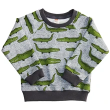 Толстовка Веселый малыш для мальчика, с рукавом реглан "Крокодил"