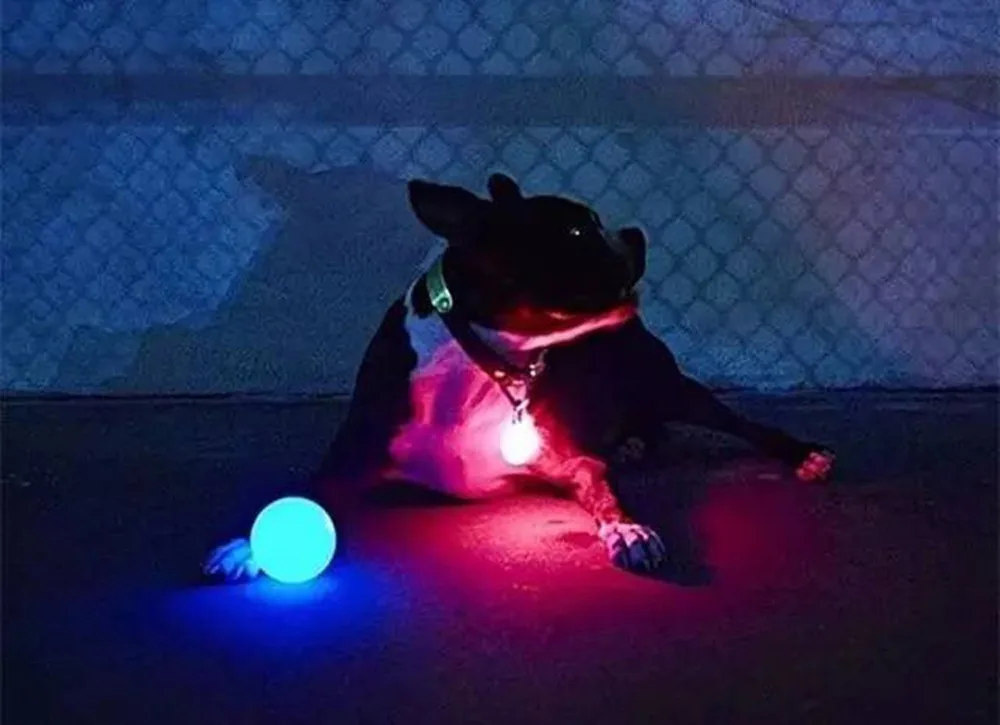 

LED Glowing Ball Pet Dog Toy Training In Night Blinking Toys Lights Up Rubber Pinball Rubber Resistance To Bite Molars Toys #L