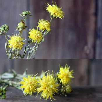 

3 Heads One Piece Greater Stitchwort Branch Natural Dried Flower Handmade Plant Combination Birthday Gift Flowers Bouquet DIY