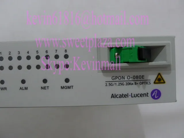 P1130387_conew1