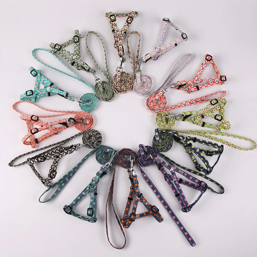 0242-3 dog leash andharness set