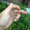 3ml 6ml Mini Glass Jars with Corks wide-mouth Bottles Jar Storage Bottles for Sand Liquid Food Bottles 100 pcs 6