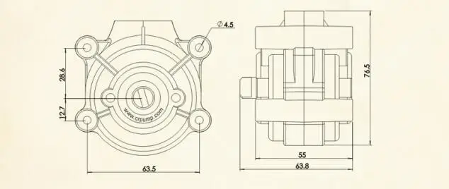 bz25