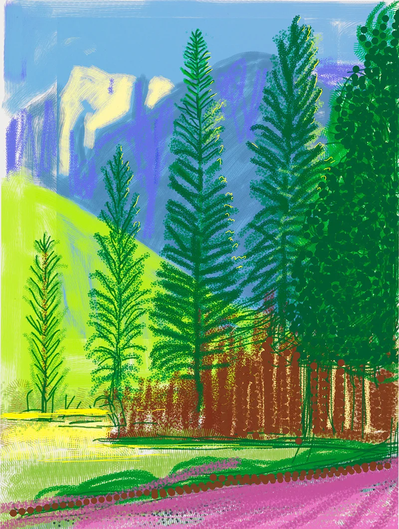 2010Yosemite National Park.Untitled.No.12