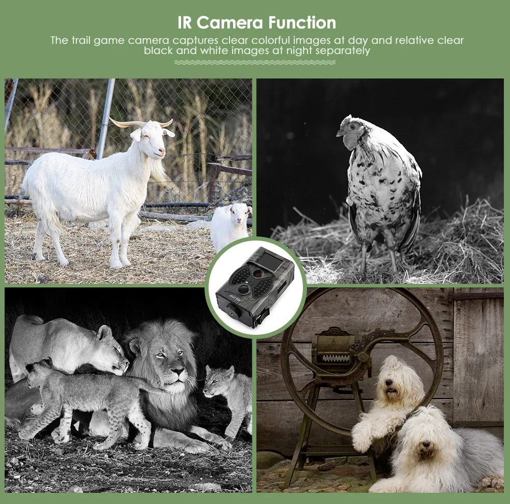 20181210140726_82786.jpg