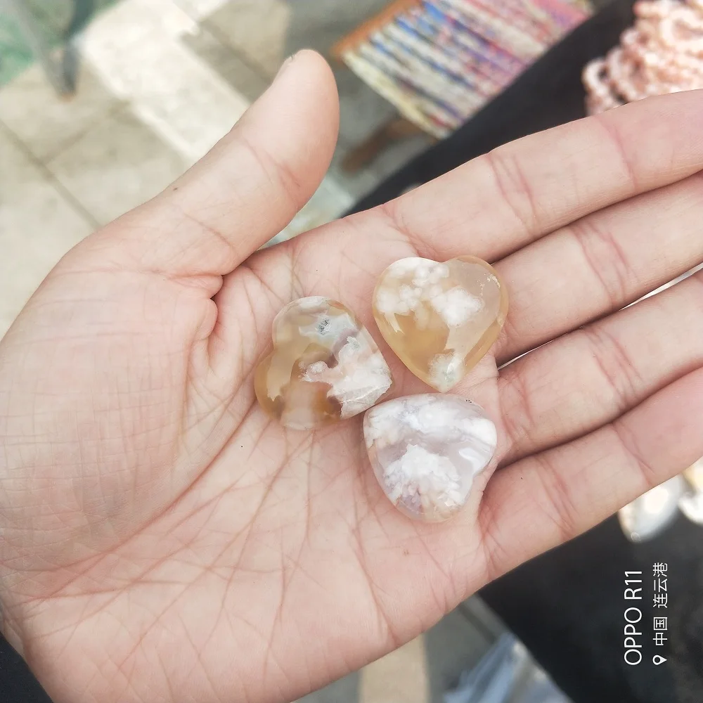 IMG20190228100131